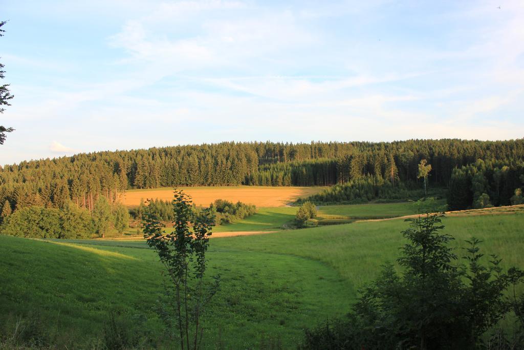 Landgasthof Haueis Marktleugast 外观 照片
