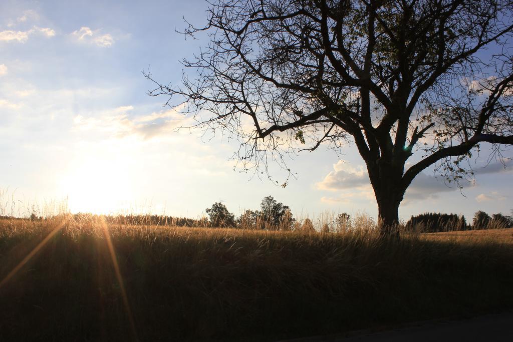 Landgasthof Haueis Marktleugast 外观 照片