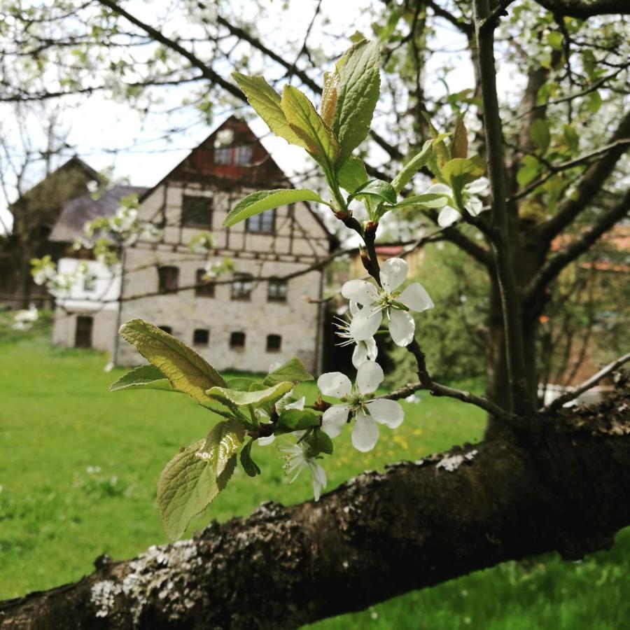 Landgasthof Haueis Marktleugast 外观 照片